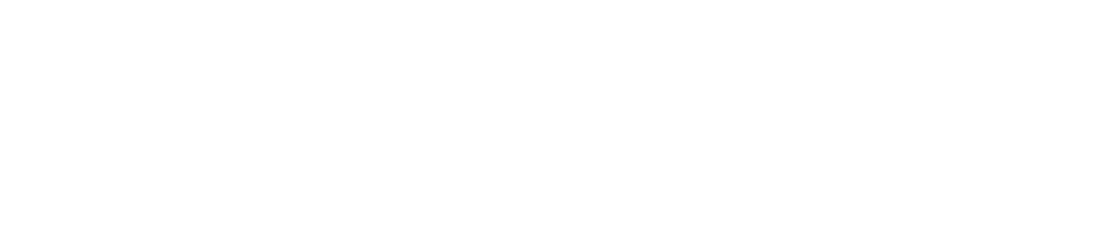 CloudSEK Logo white